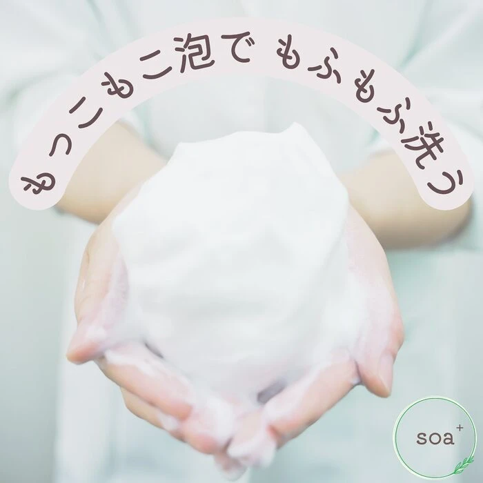 画像244